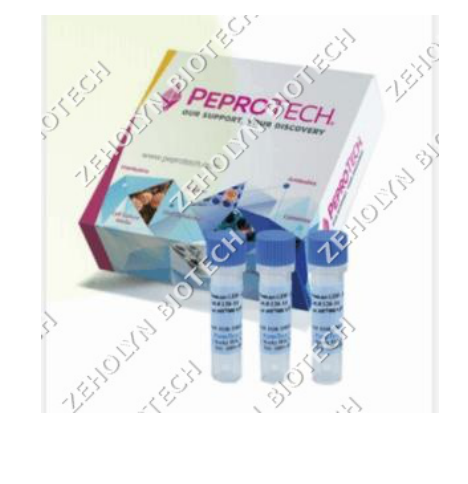 Recombinant Human bFGF (FGF-2)