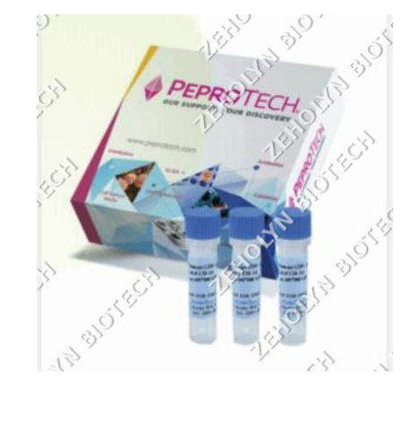 Recombinant Human TGF-beta 1