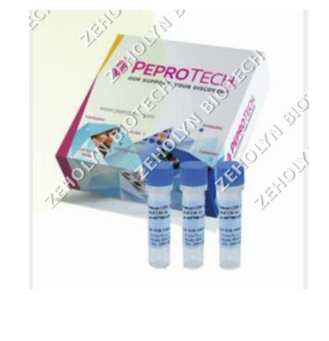 Recombinant Human VEGF165