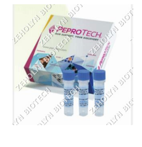 Recombinant Human CXCL12/SDF-1 alpha