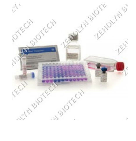 PlasmoTest Mycoplasma Detection Kit