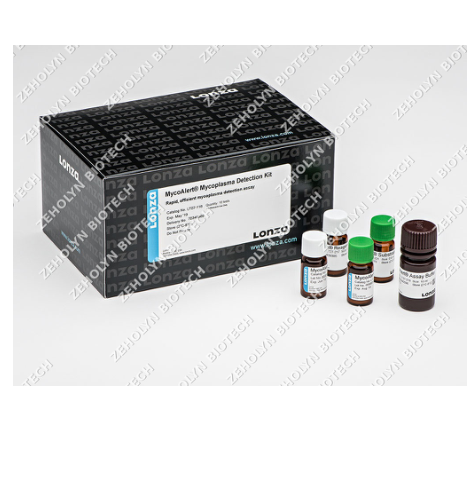 Mycoplasma Detection Kit (PCR)