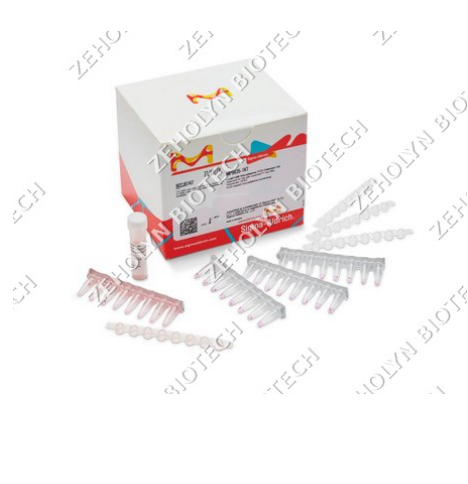 LookOut Mycoplasma PCR Detection Kit