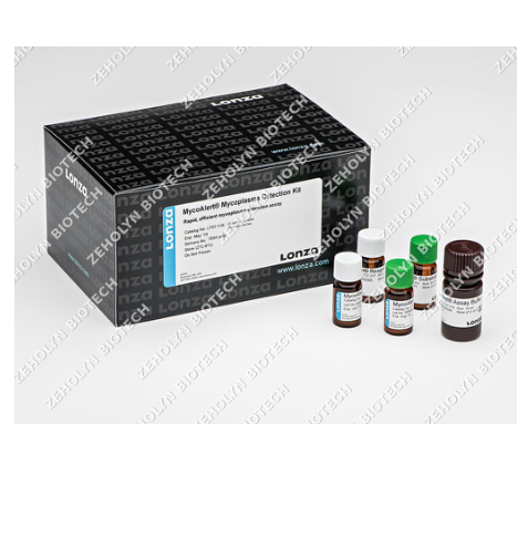 API 20E Identification System