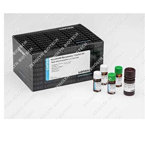 RapID ONE System