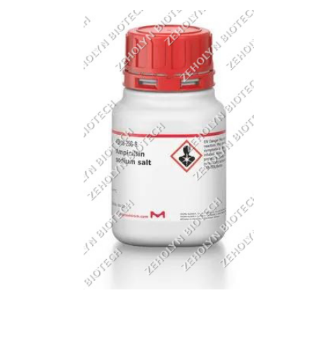 Ampicillin Sodium Salt