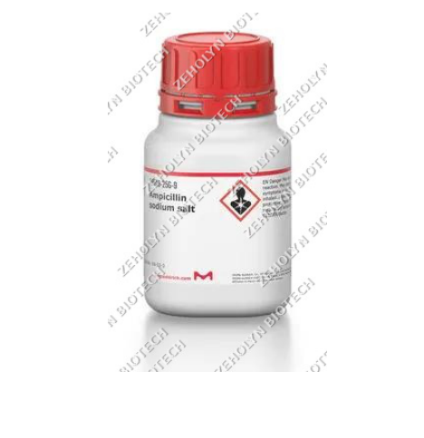 Streptomycin Sulfate