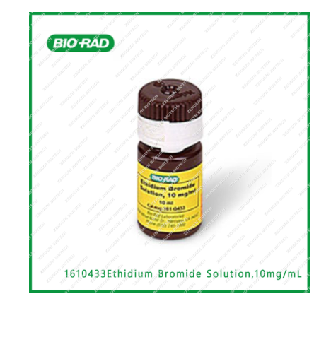 Ethidium Bromide Solution