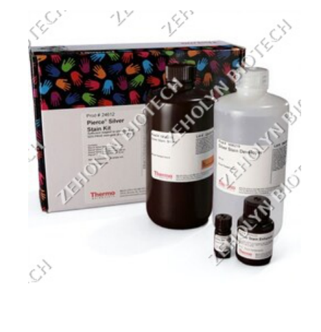 Pierce Silver Stain Kit