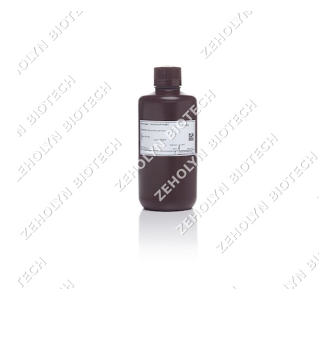 SYPRO Ruby Protein Gel Stain