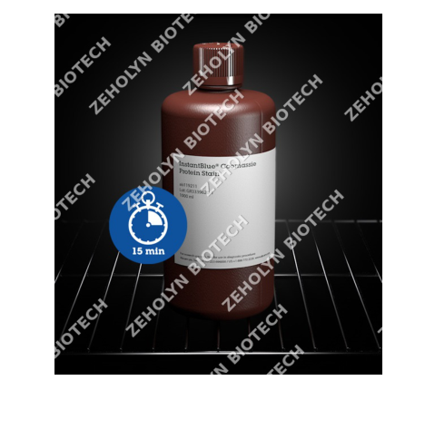 InstantBlue Protein Stain