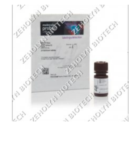 Propidium Iodide (PI)