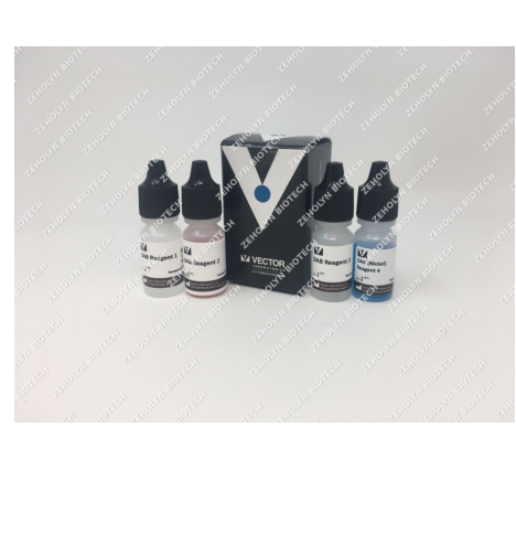 DAB Substrate Kit (HRP)