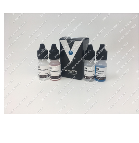 BCIP/NBT Substrate Kit (AP)
