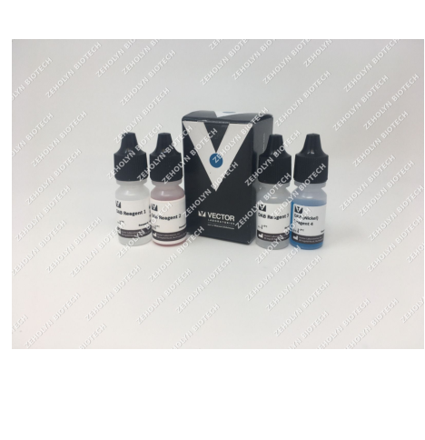 TrueBlue Peroxidase Substrate