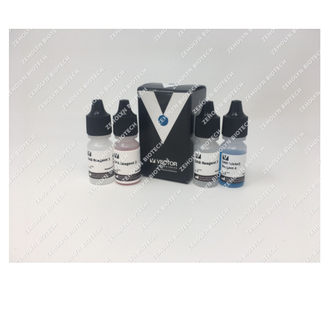 Hematoxylin and Eosin (H&E;) Stain Kit