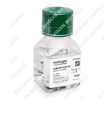 TE Buffer (10X, pH 8.0)