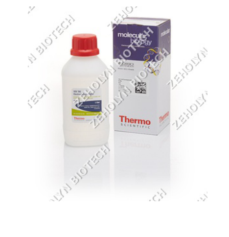TAE Buffer (50X)
