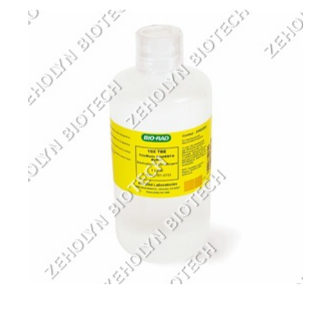 TBE Buffer (10X)