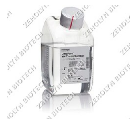 Tris-HCl Buffer (1M, pH 8.0)
