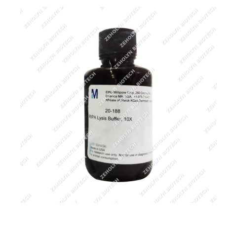 RIPA Lysis Buffer (10X)