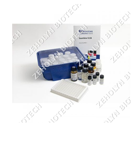 ELISA Coating Buffer (10X)