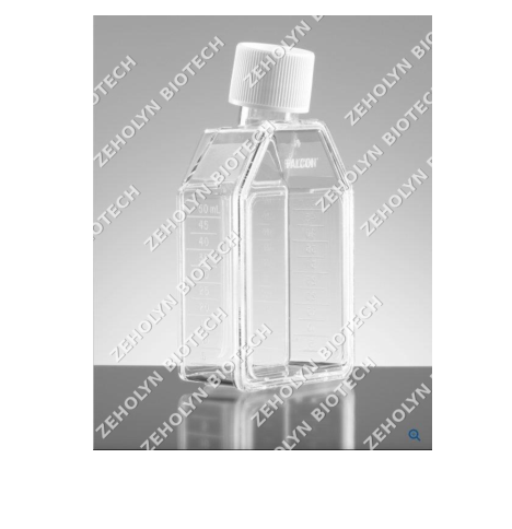 Nunc T75 Flask (Filter Cap)