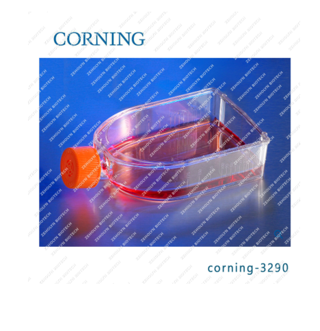 Corning CellBIND T75 Flask