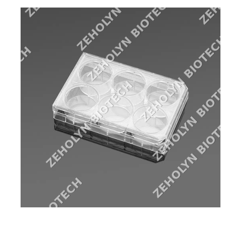Falcon 6-Well Cell Culture Plate
