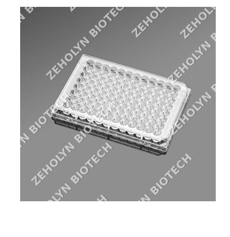 Nunc 96-Well Plate (Cell Culture Treated)