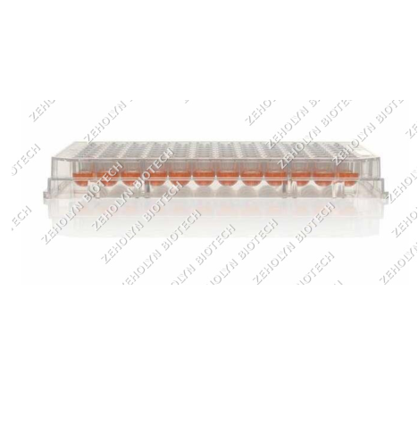 Nunclon Sphera 96-Well U-Bottom Plate