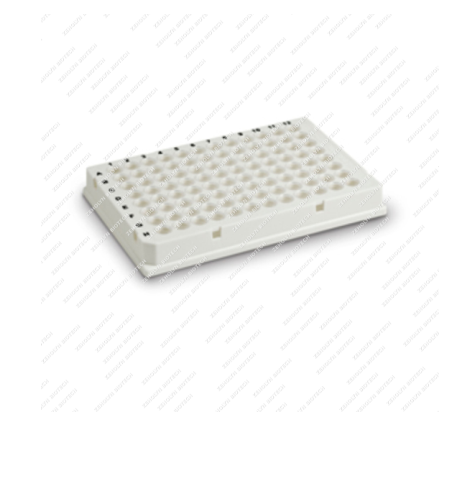 Bio-Rad Hard-Shell 96-Well PCR Plate