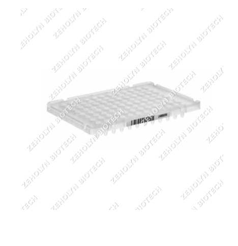 Thermo Fisher MicroAmp Optical 96-Well Plate