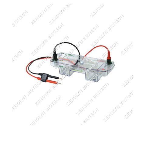 Axygen Gel Documentation Comb