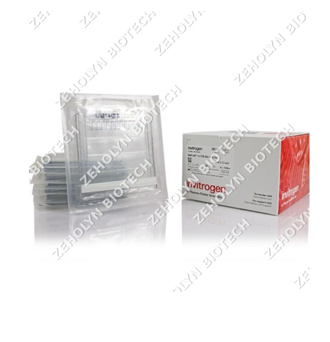 Invitrogen NuPAGE Bis-Tris Precast Gels (4-12%)