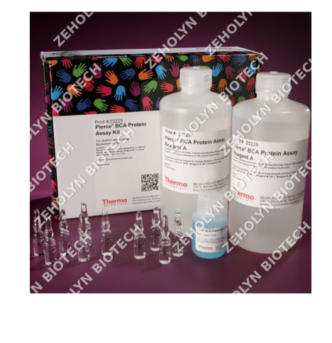 Thermo Fisher Pierce BCA Protein Assay Reagent A/B