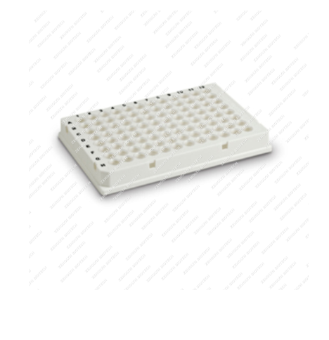 Bio-Rad Hard-Shell 96-Well Thin-Wall PCR Plate