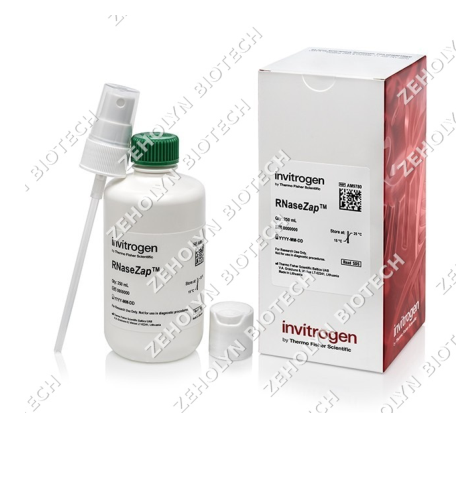 Thermo Fisher DNAZap DNA Decontamination Solution